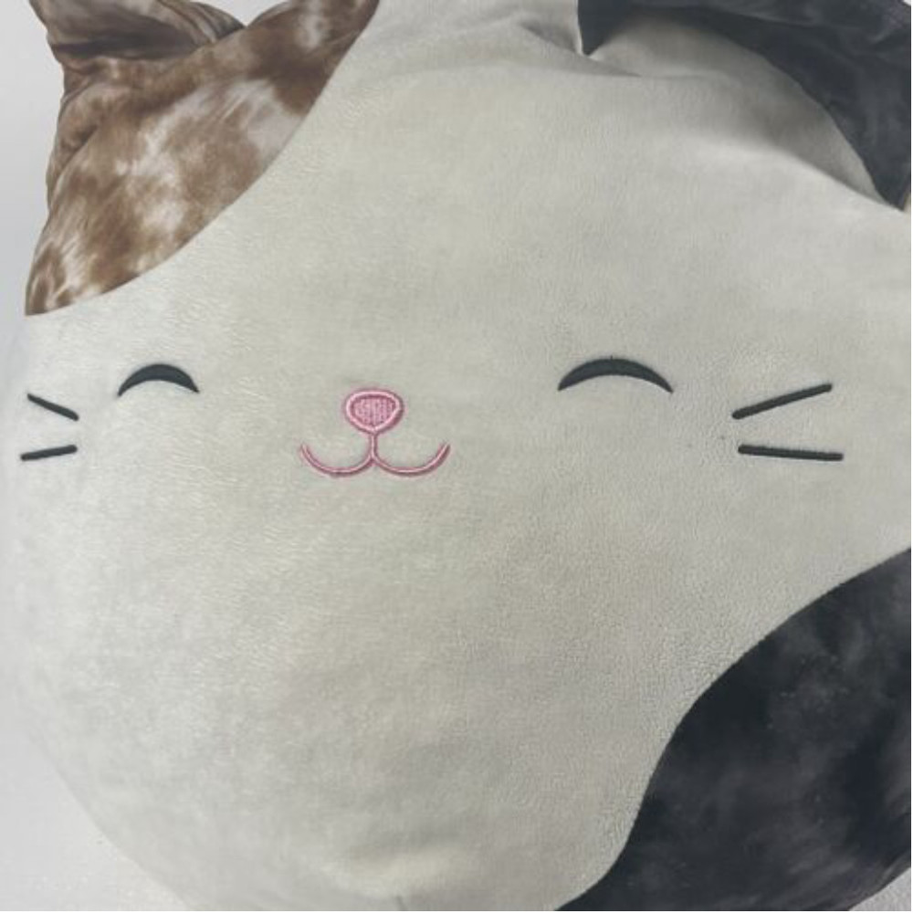Cameron 16” Cat  5 Year Collectors Edition Walgreens Exclusive Squishmallow